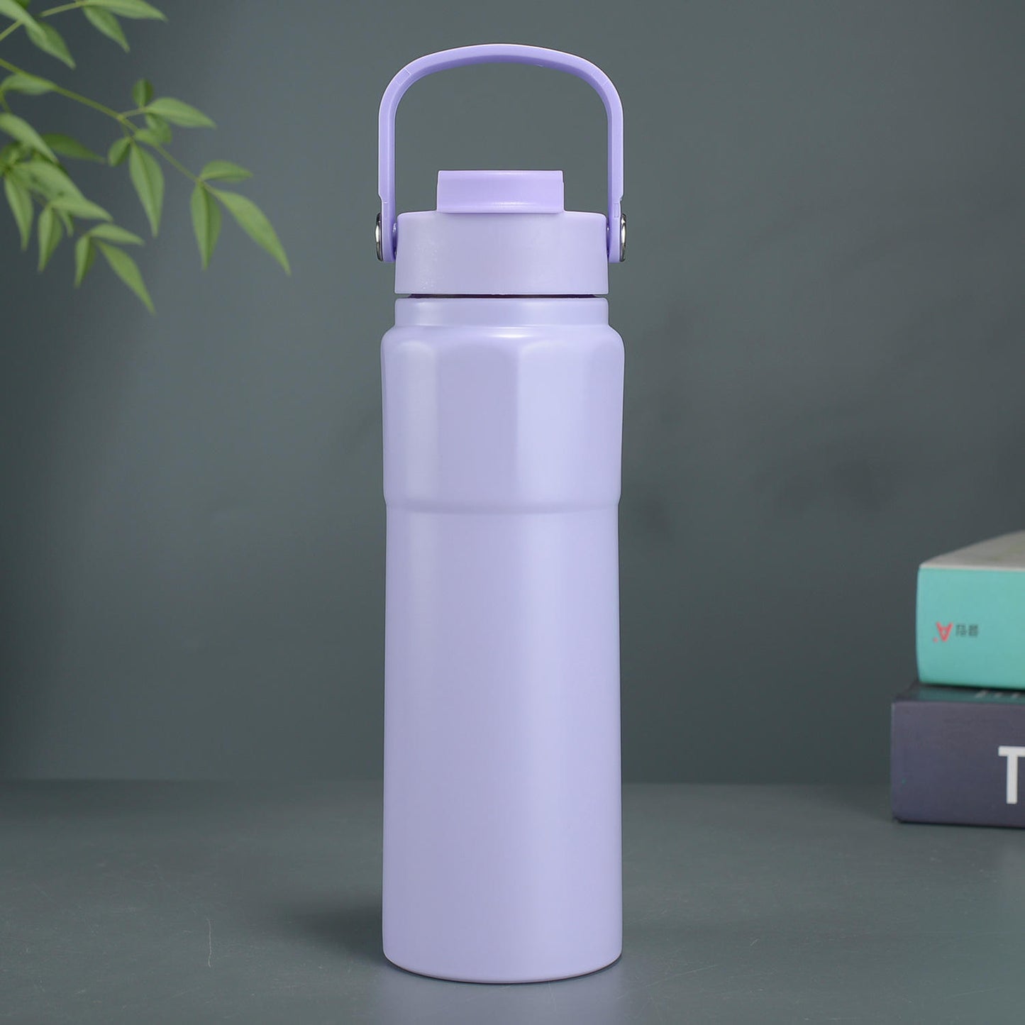 750ml Insulated Stainless Steel Water Bottle