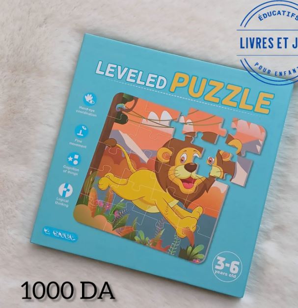 3 in 1 Magnetic Puzzle Book