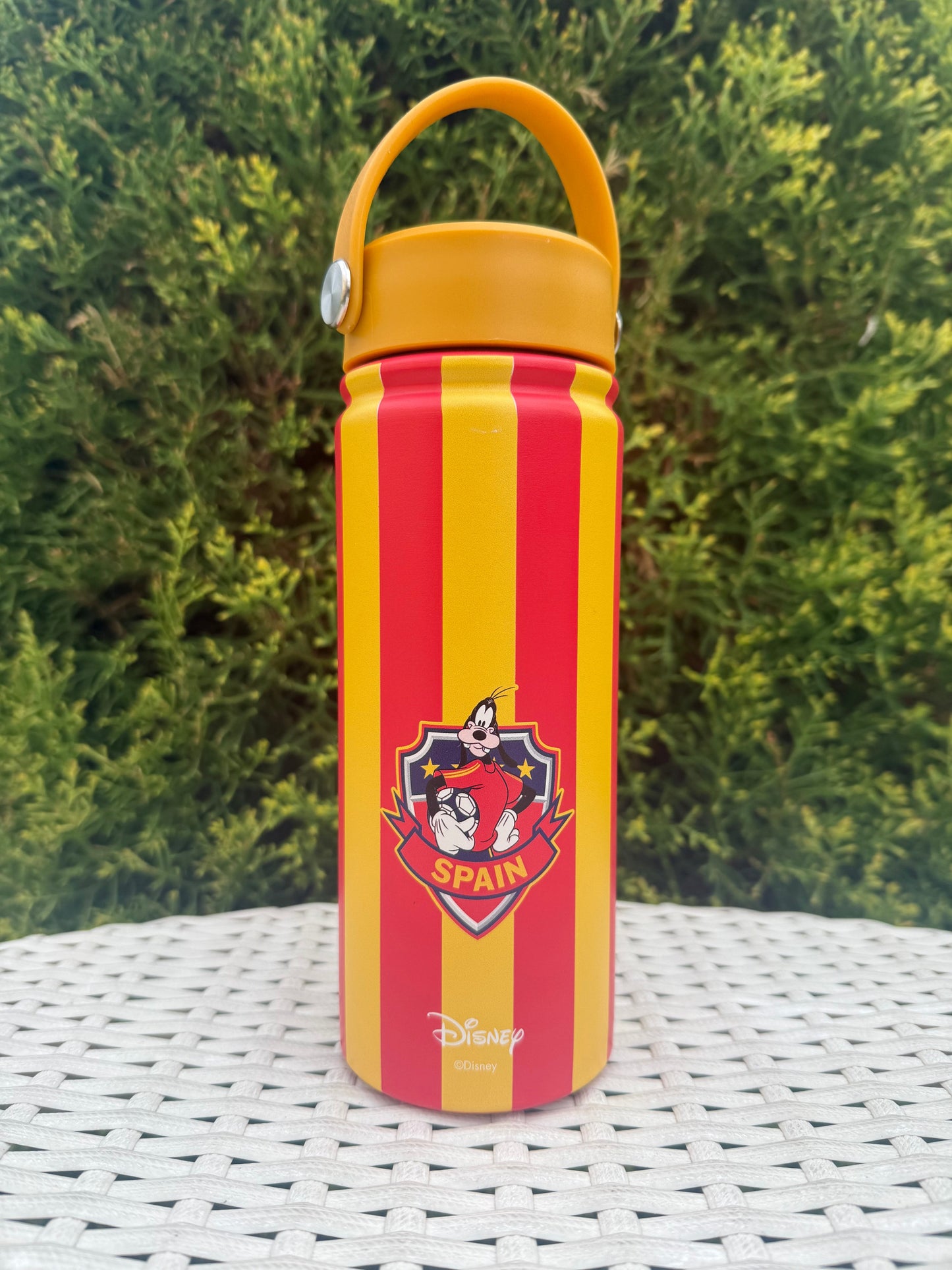 Insulated Print Bottle | 500 ml | Hot & Cold -Footbal (Random)
